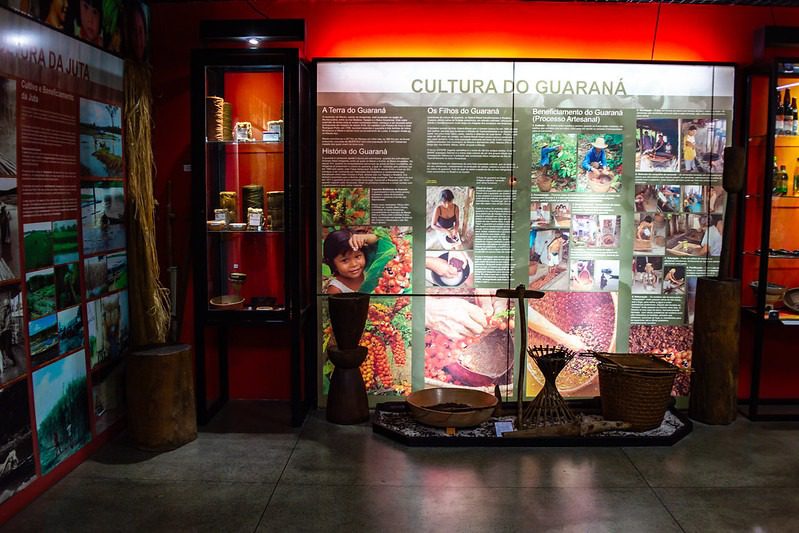 Museu do Homem do Norte abre portas para imersão cultural gratuita