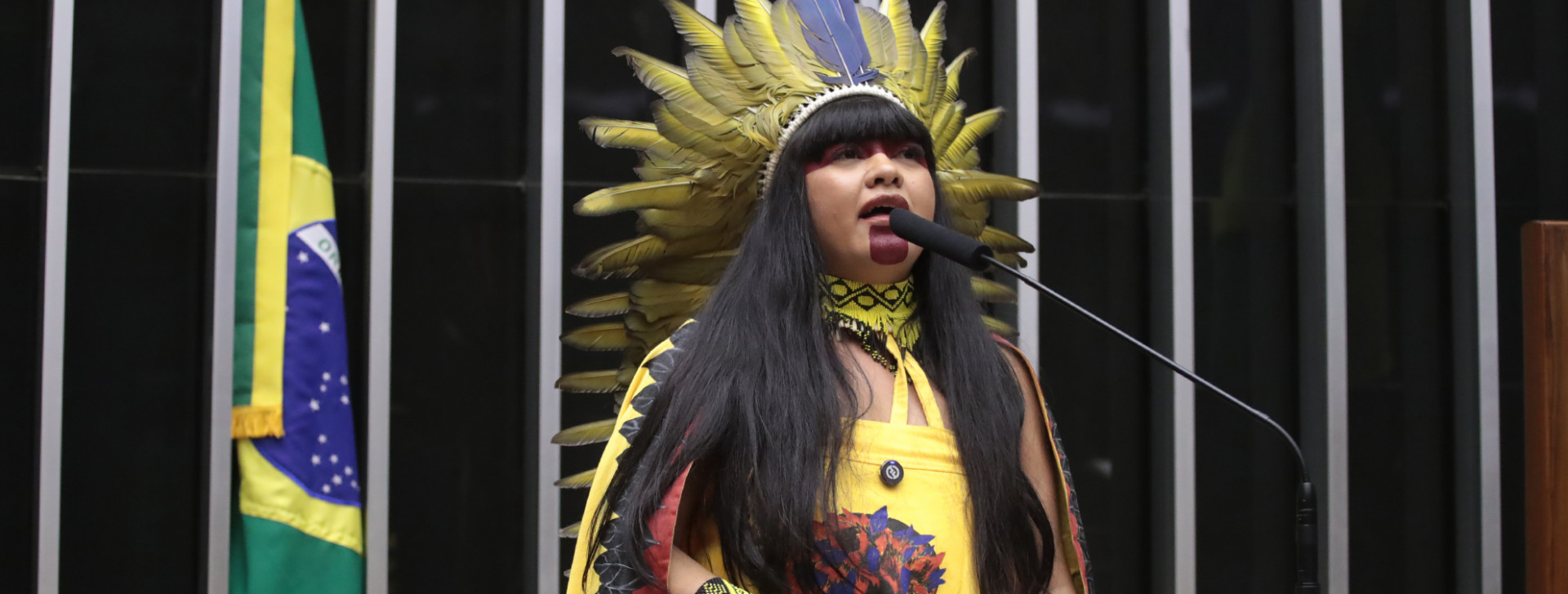 Xakriabá é primeira indígena a assumir Comissão da Mulher na Câmara