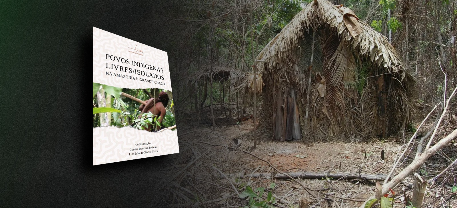 Livro do Cimi identifica 119 povos indígenas isolados no Brasil