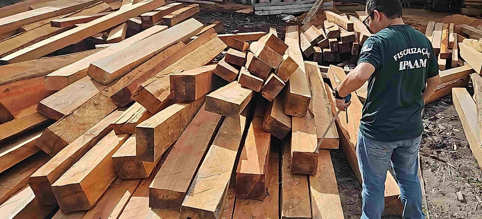 Operação no AM apreende madeira ilegal e multa passa de R$ 290 mil
