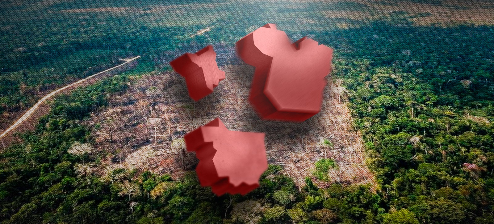 Amazônia teve perda florestal de 425 campos de futebol em fevereiro