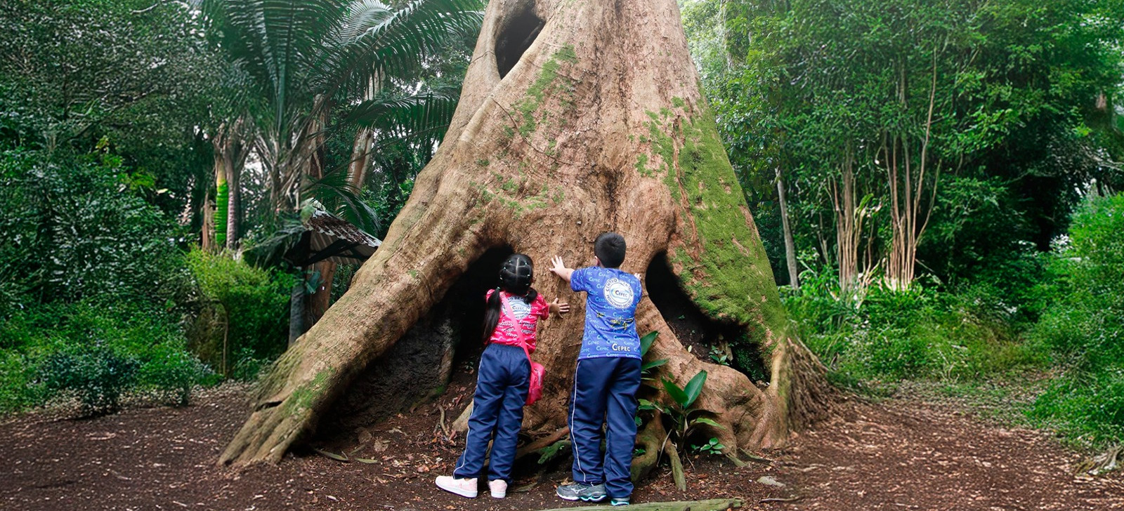 Bosque da Ciência celebra 30 anos de compromisso com a ciência na Amazônia