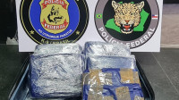 Homem é preso com quase 6 kg de drogas no aeroporto do Amazonas