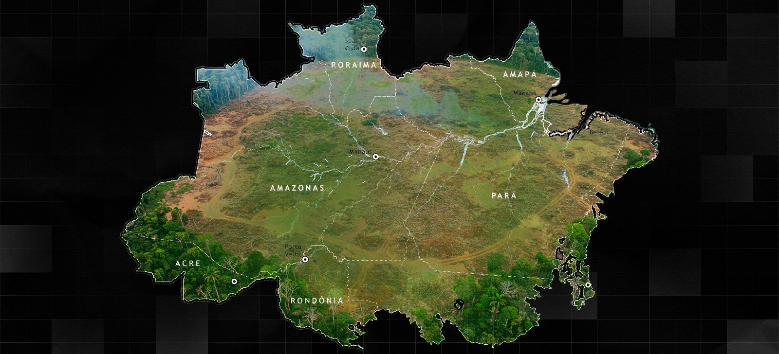 Desmatamento na Amazônia cresce 35% em um ano, aponta Imazon