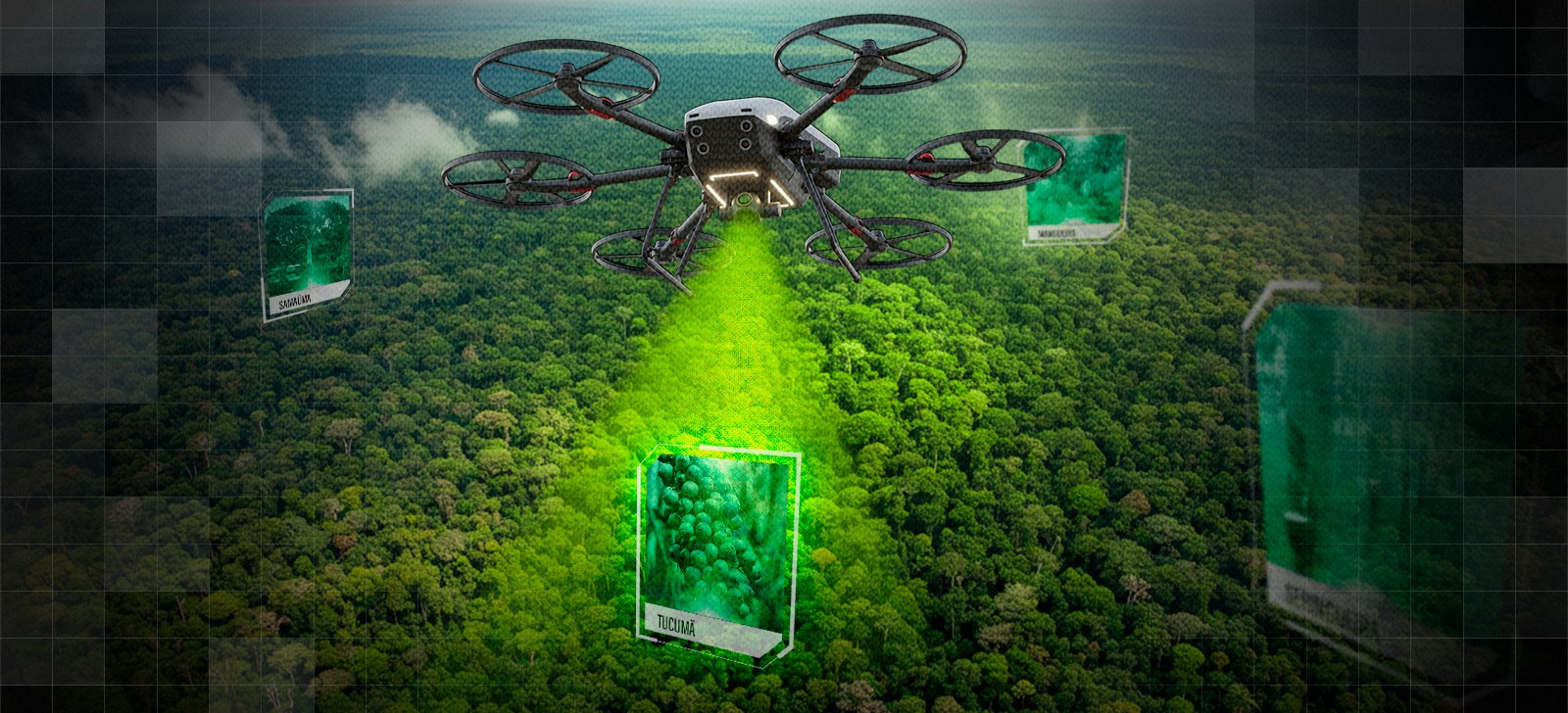 Aplicativo de IA mapeia mais de 3 mil hectares da Amazônia em um dia