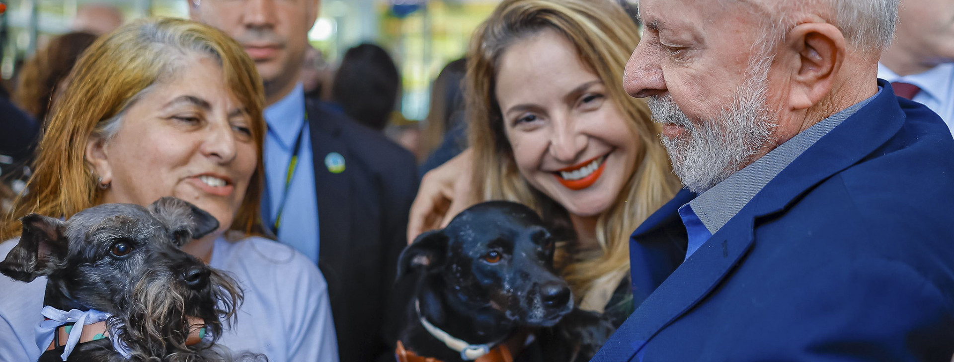 Governo lança programa para controle populacional de cães e gatos