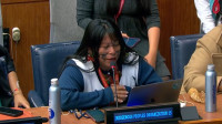At the UN, Indigenous leader denounces rights violations in the Amazon