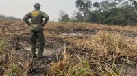 Brasil tem queda de 70% nas queimadas; Roraima lidera fogo