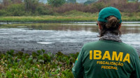 Concurso do Ibama será aplicado em todas as capitais nesse domingo, 6