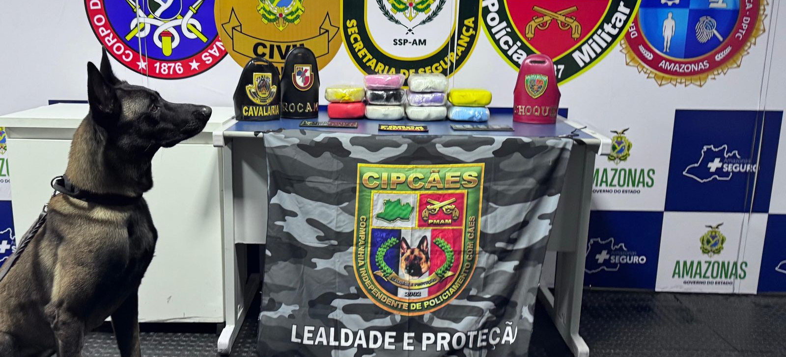 Cão policial encontra drogas avaliadas em R$ 745 mil no interior do AM