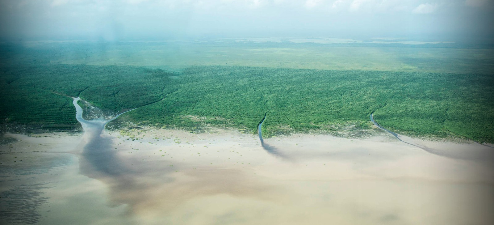 Deputado e senador têm projetos antagônicos à exploração de petróleo na Foz do Amazonas