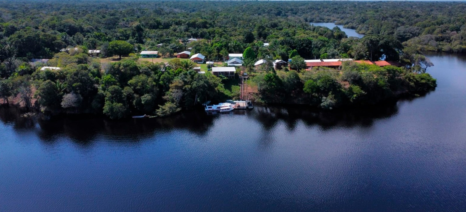 Pesquisadores de quatro nacionalidades buscam conhecimento na Amazônia