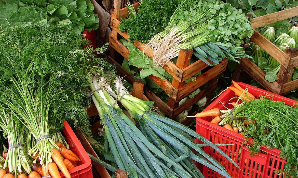 Levantamento mostra que cesta básica ideal custa R$ 432 por pessoa em abril