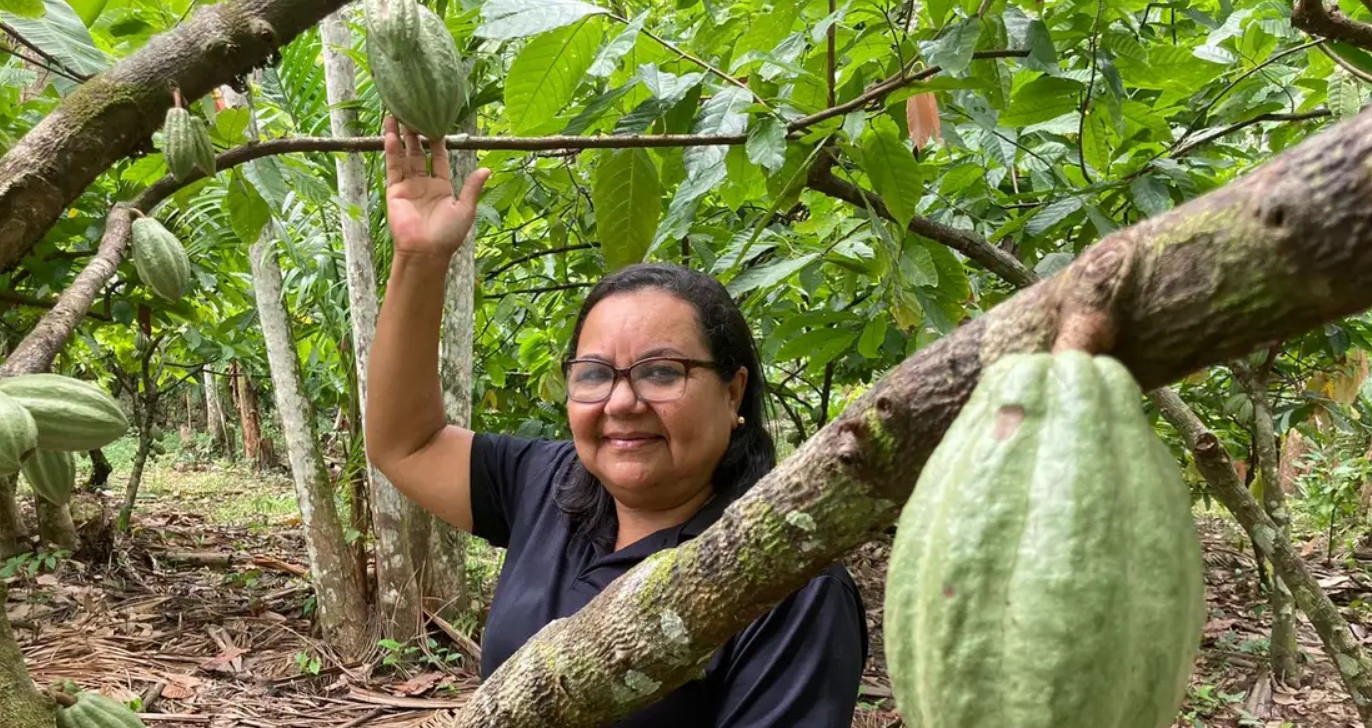 Bioeconomia na Amazônia é aposta de desenvolvimento econômico