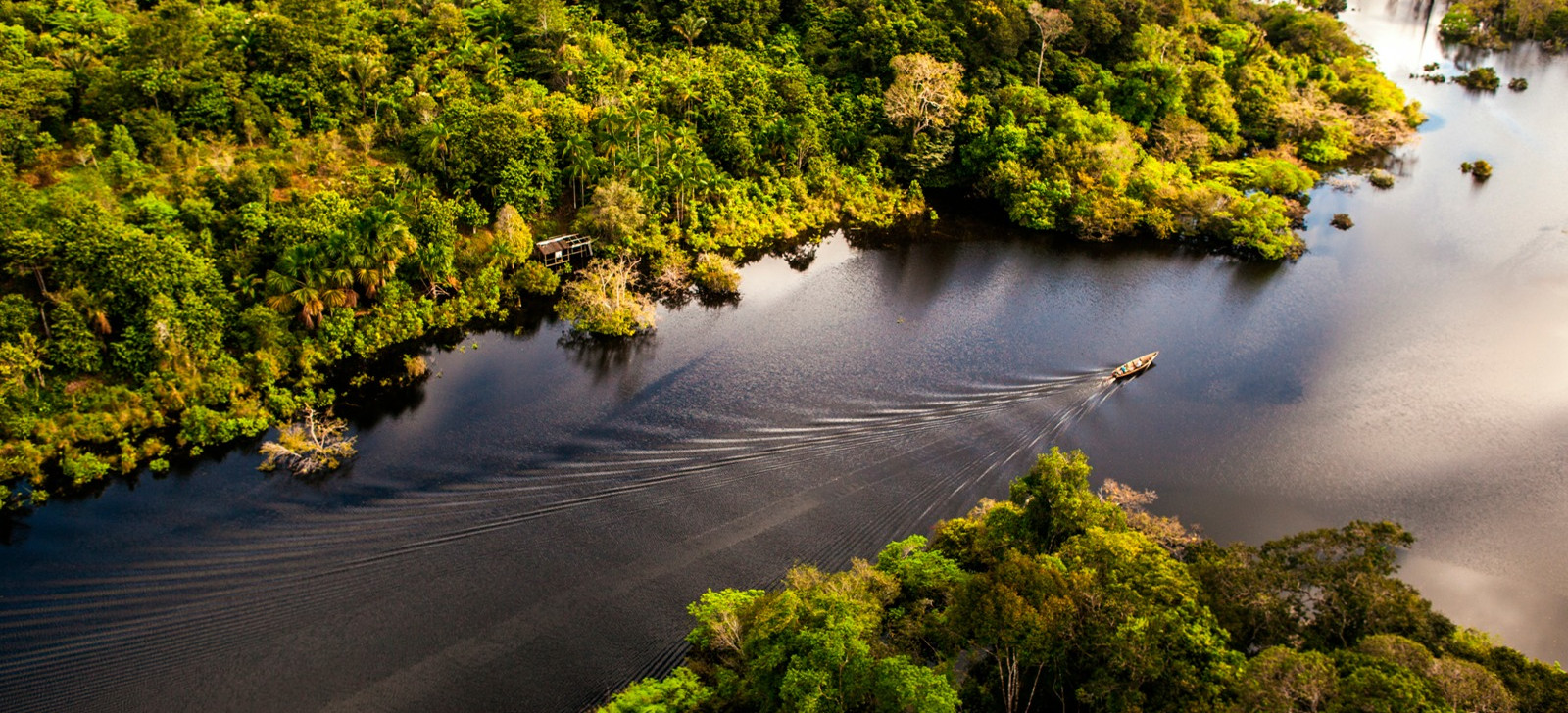 Ibama autoriza 1ª etapa de licenciamento para perfurar a Foz do Amazonas