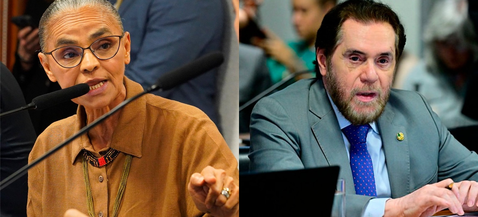 Marina diz ter sofrido violência de gênero por Plínio Valério no Senado