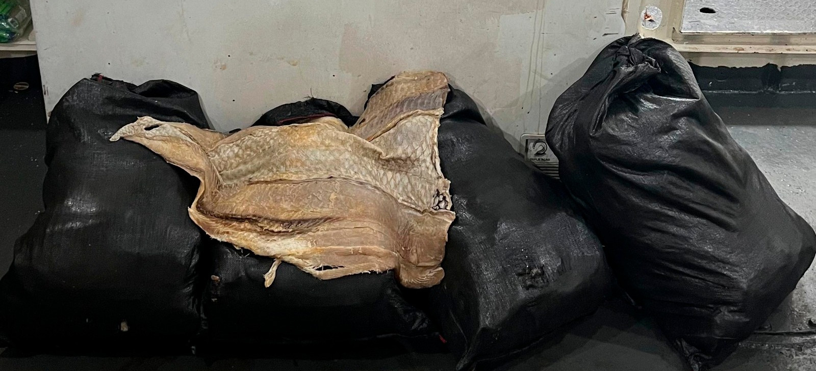 Polícia apreende 210 kg de pirarucu transportado ilegalmente no Amazonas