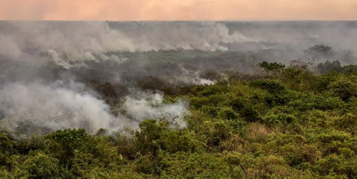 Seca e queimadas afetam sustento de quilombolas no Pantanal