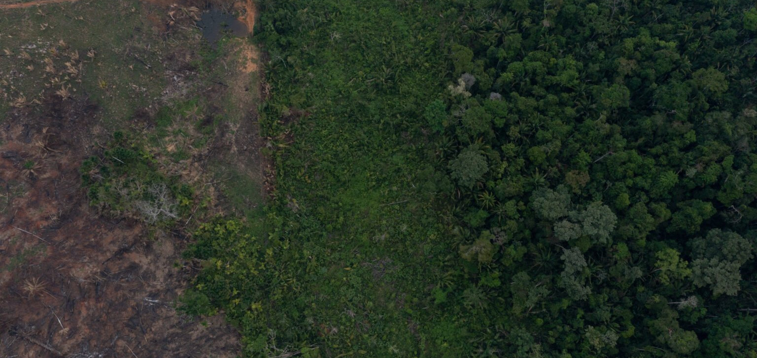 MP-RO ingressa ação contra lei de ocupação em reserva extrativista