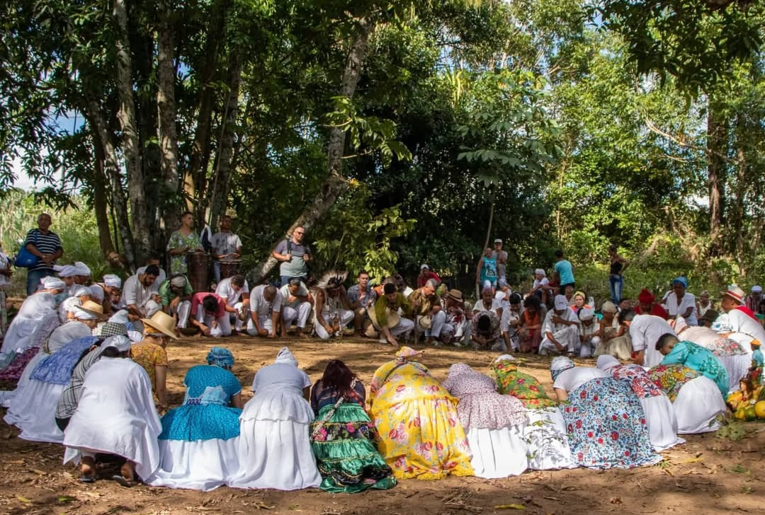Livro revela como Jurema virou religião e interesse da ciência