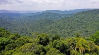 Novo edital busca iniciativas para salvar Amazônia