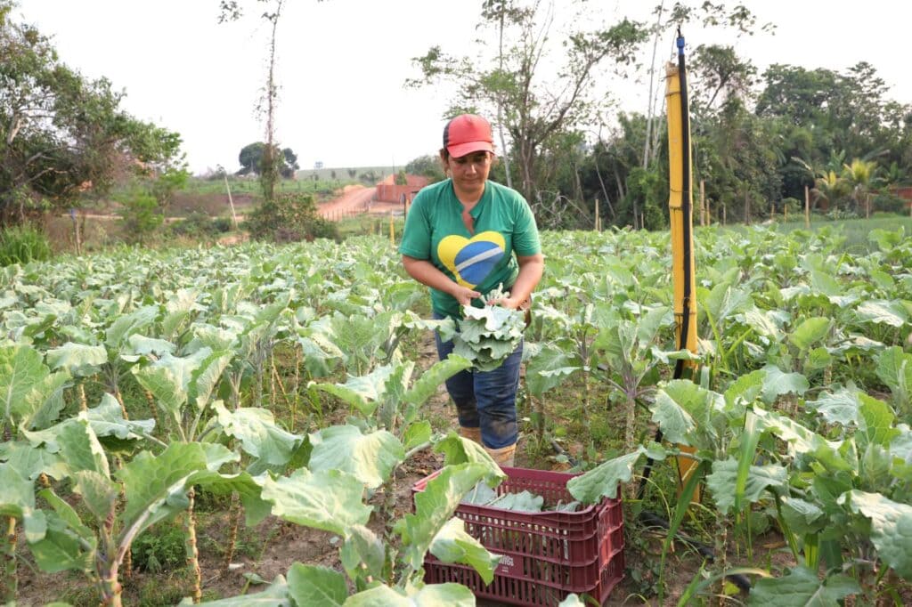 Acre vai receber R$ 24 milhões para incentivo à agricultura