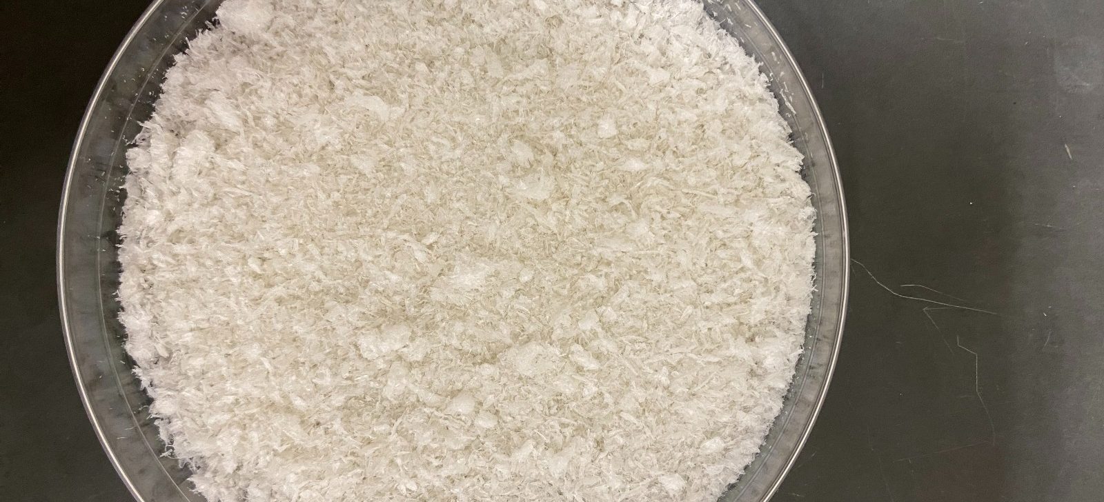 Curativo feito com resíduos da pesca mostra capacidade de cicatrização