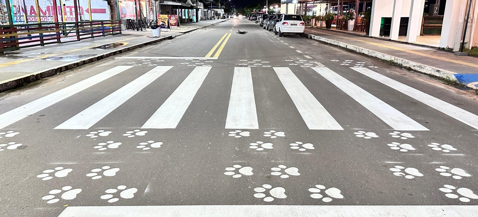 Primeira ‘faixa pet’ do Norte é inaugurada no Amapá durante Maio Amarelo