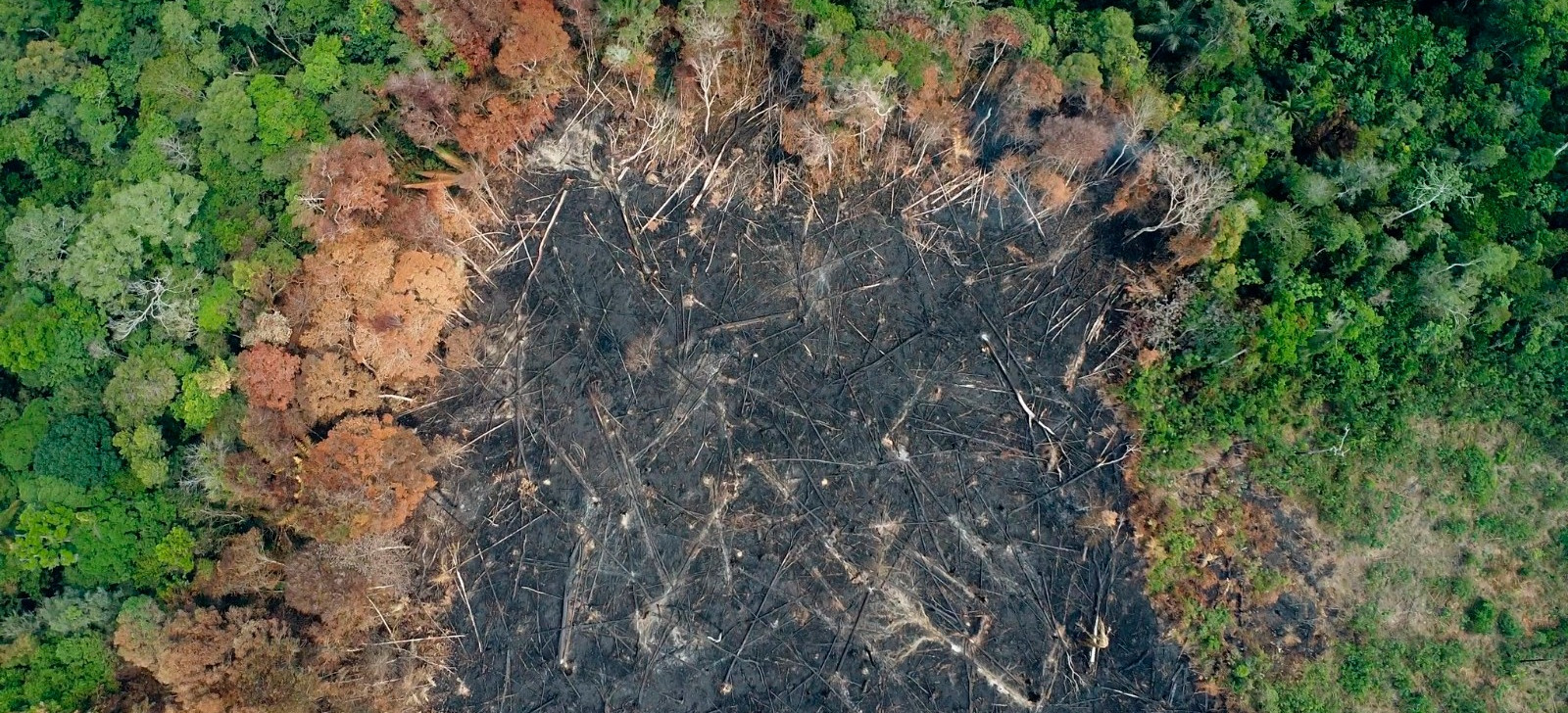 Desmatamento recua no Brasil, mas avança no Acre e Roraima