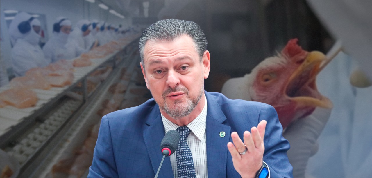 Ministro projeta pouco impacto da gripe aviária no preço da carne de frango