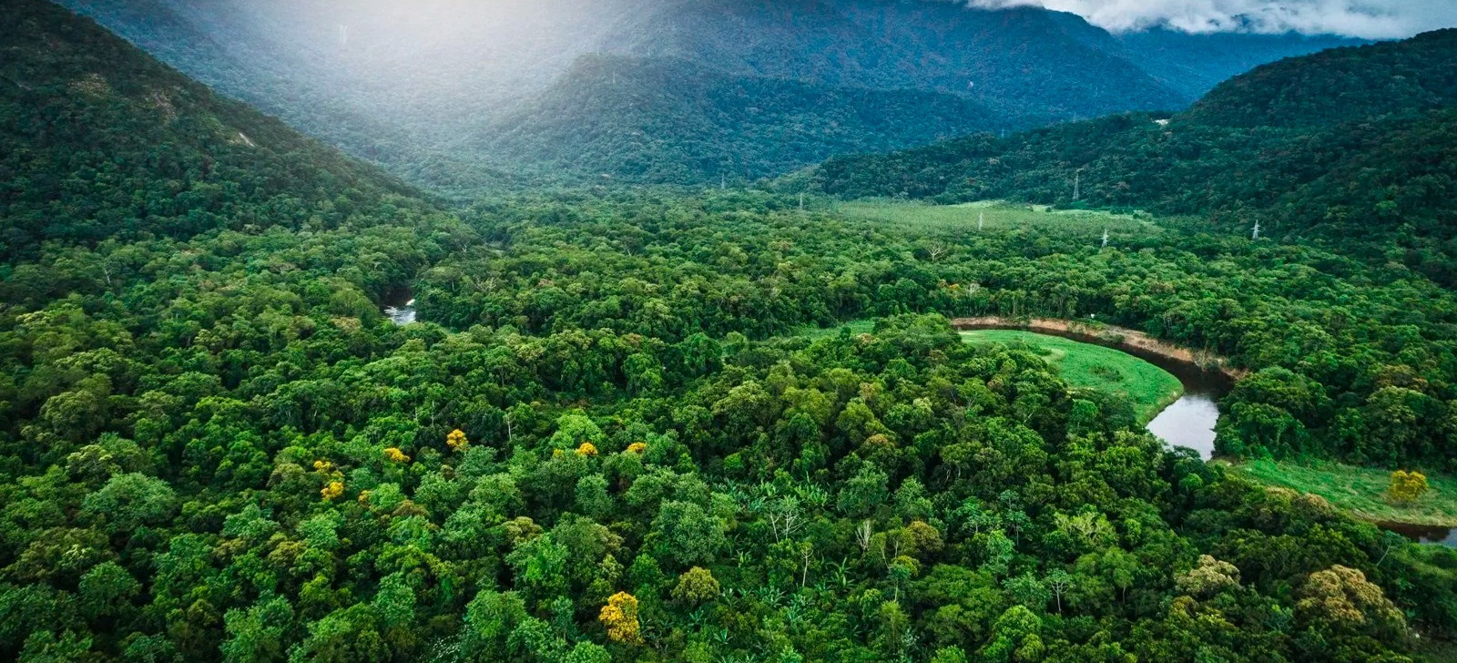 Mata Atlântica perde 3 milhões de hectares em 39 anos