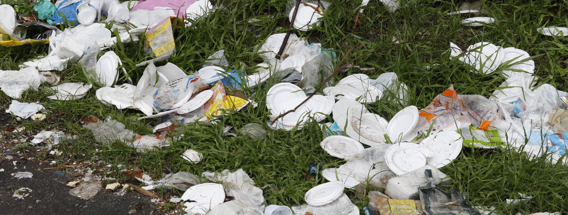 Acúmulo de lixo preocupa moradores da Zona Sul de Manaus, que convivem com urubus e doenças