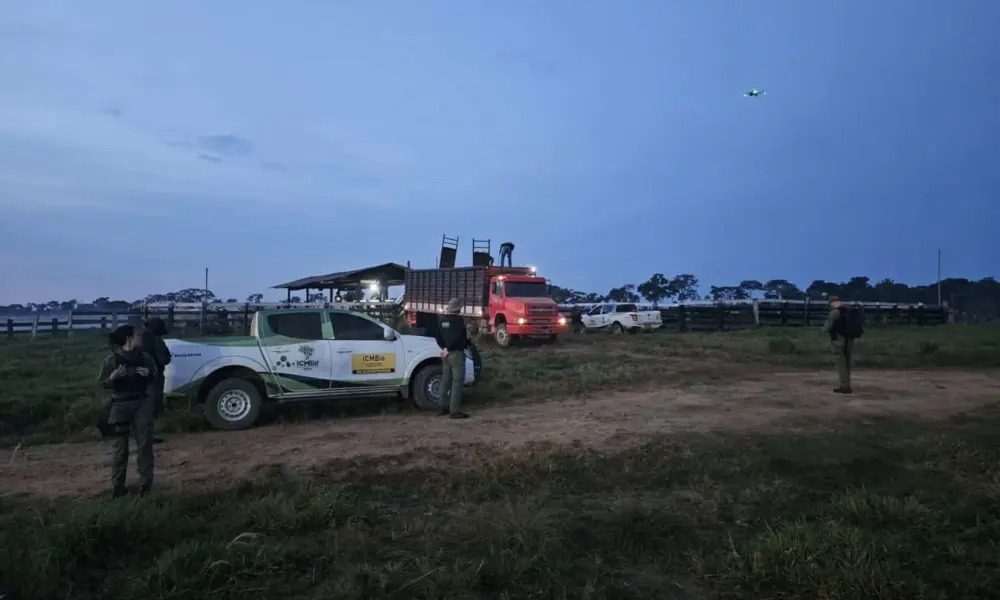 Acampamento do ICMBio sofre ataques durante operação contra desmatamento no Acre