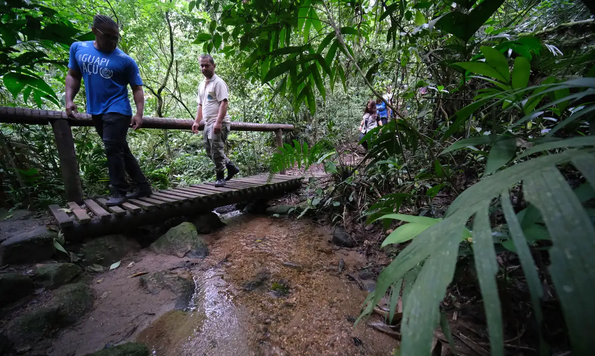 Saiba os principais cuidados para fazer trilhas com segurança