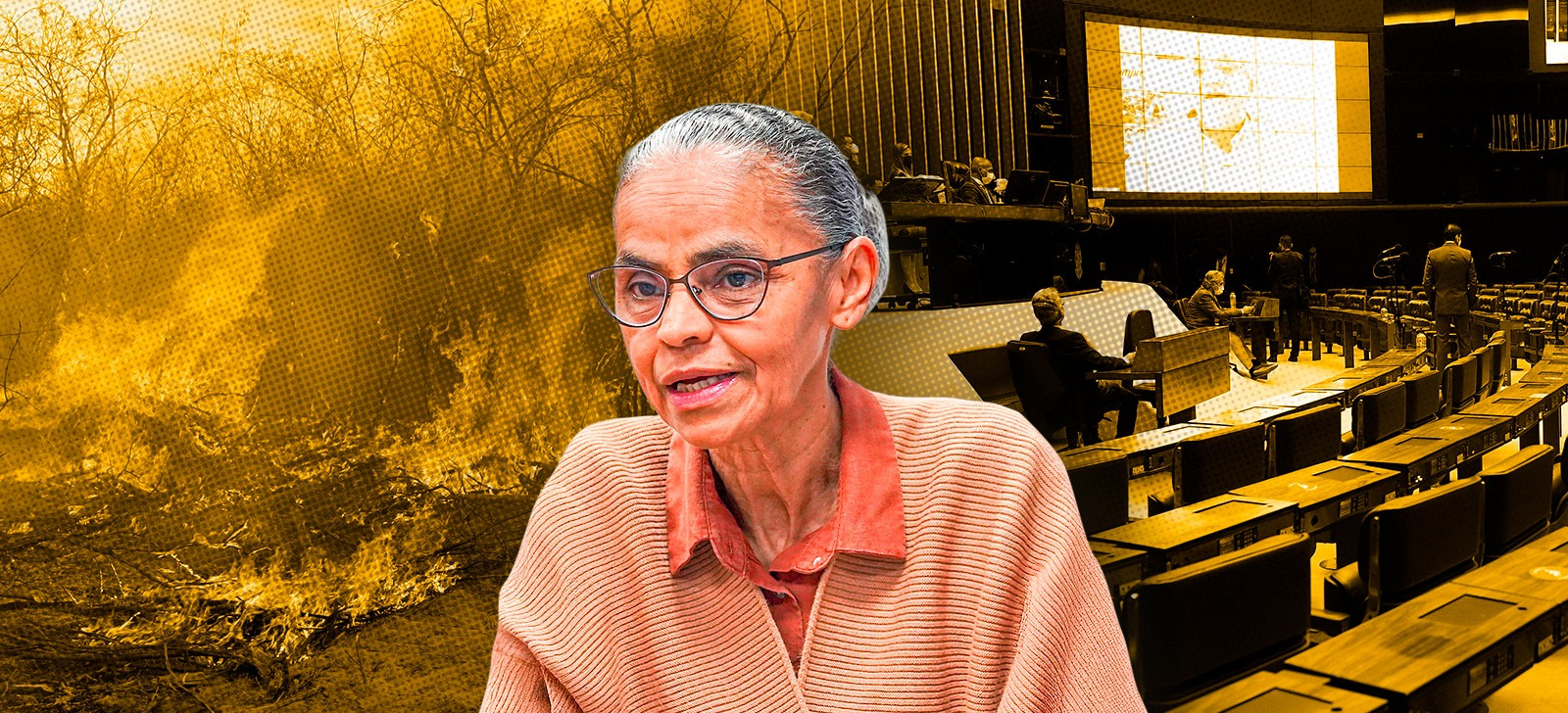 Marina diz que governo espera reverter pontos do ‘PL da Devastação’