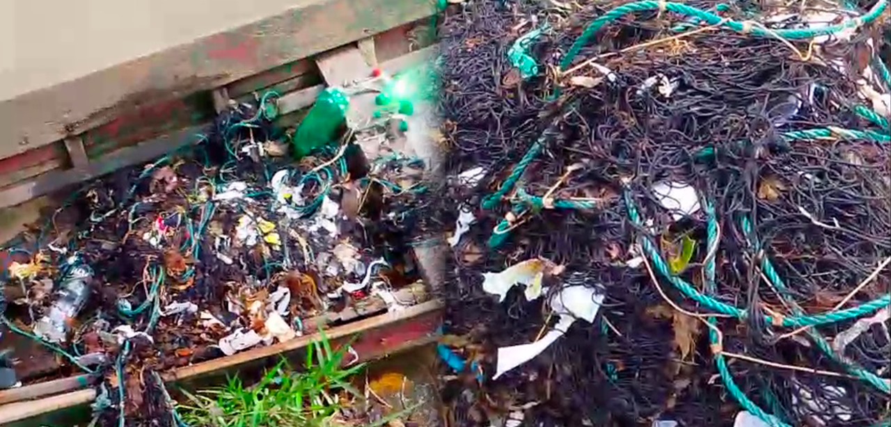 Despejo de lixo em rio afeta pesca nas ilhas de Belém