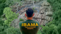 Ibama terá R$ 825,7 milhões para combater desmatamento ilegal na Amazônia