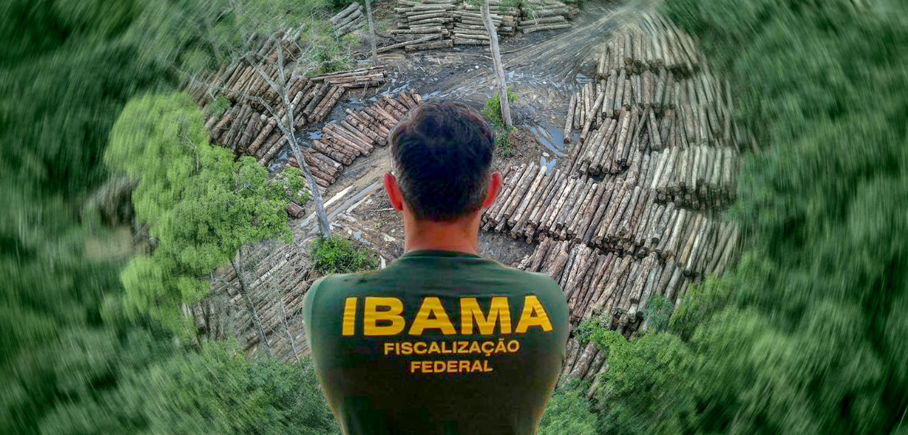 Ibama terá R$ 825,7 milhões para combater desmatamento ilegal na Amazônia