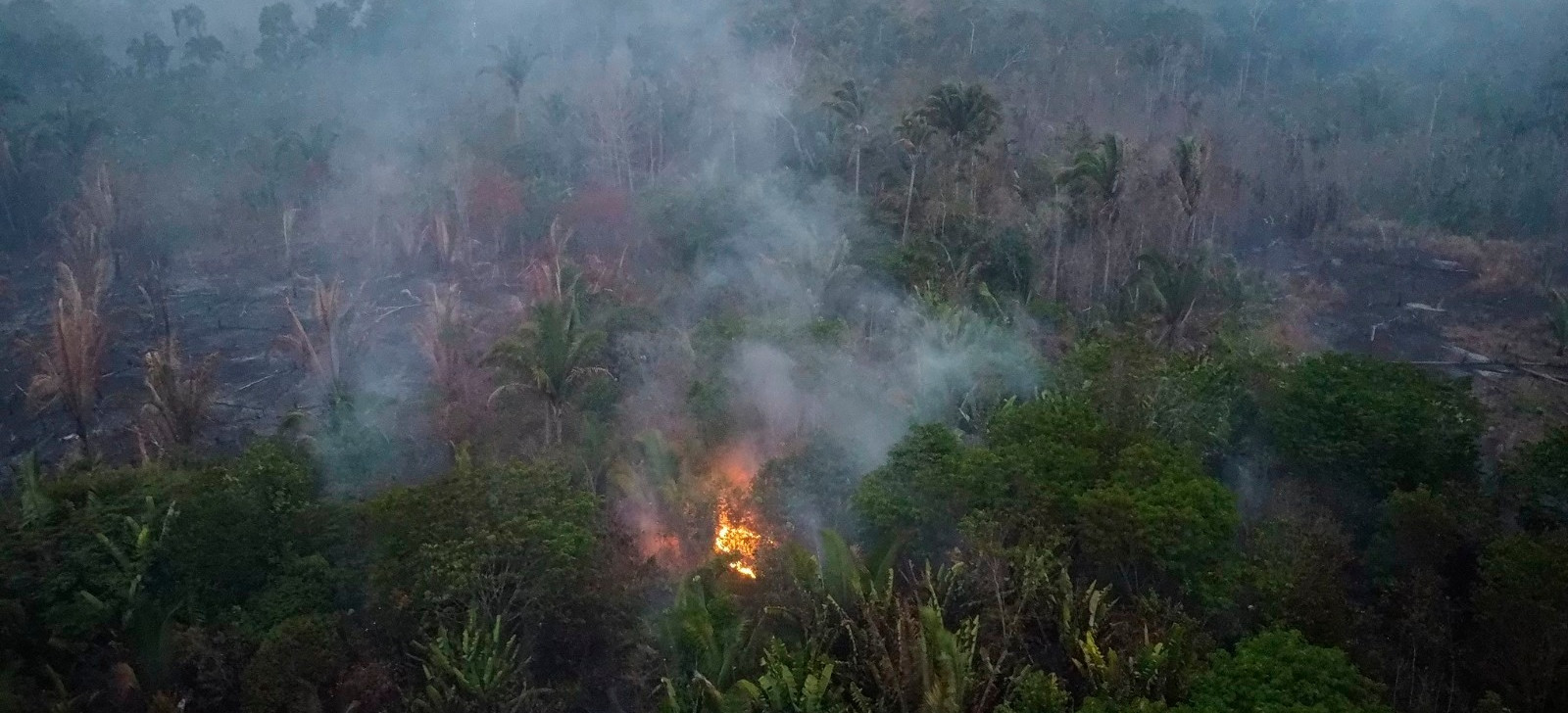 Governo federal ativa sala de situação para combate a incêndios florestais