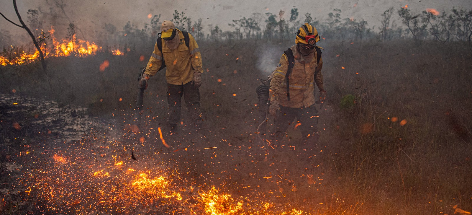 Governo federal sanciona lei e reforça ações contra queimadas irregulares