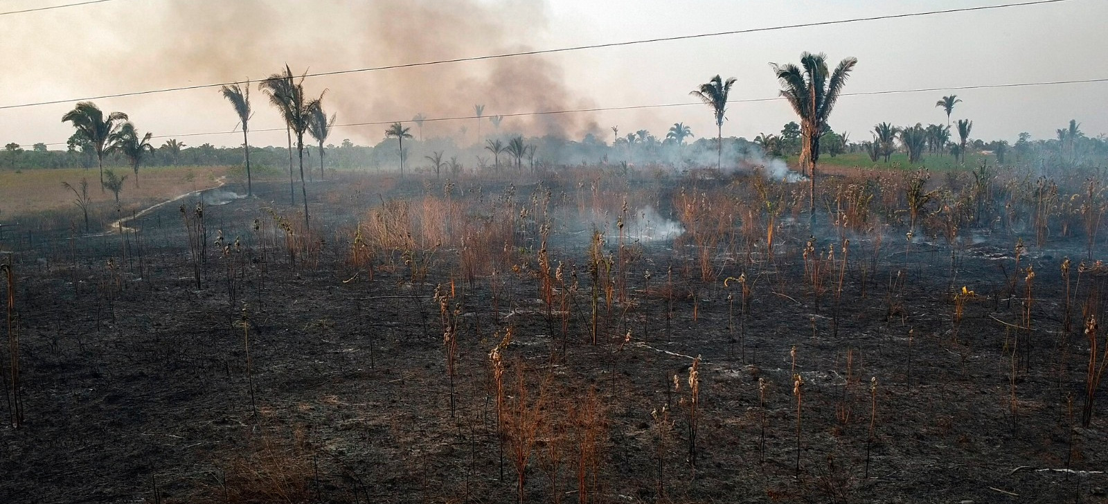 Desmatamento cresce pela 1ª vez em áreas de floresta primária da Amazônia