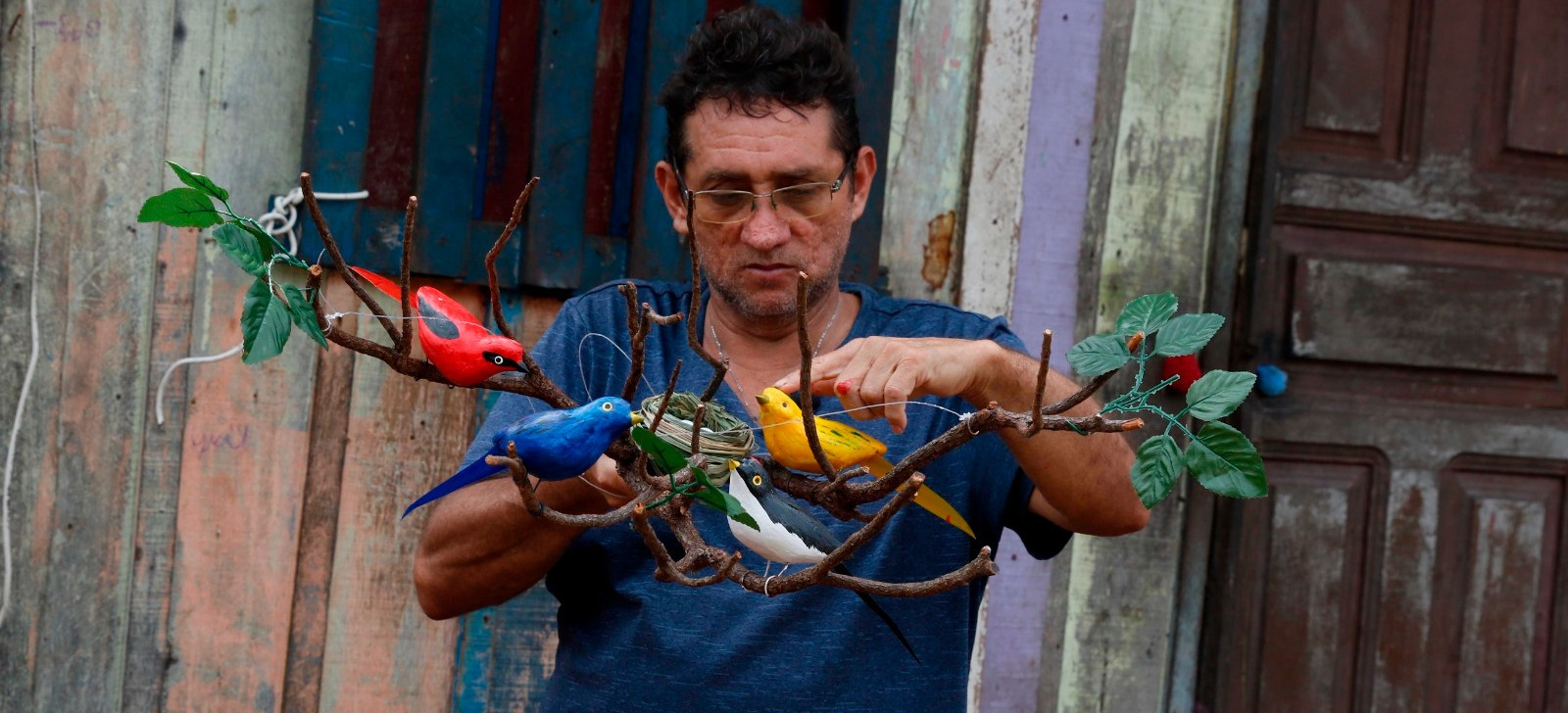 Ornitólogo das palafitas domina pássaros da Amazônia