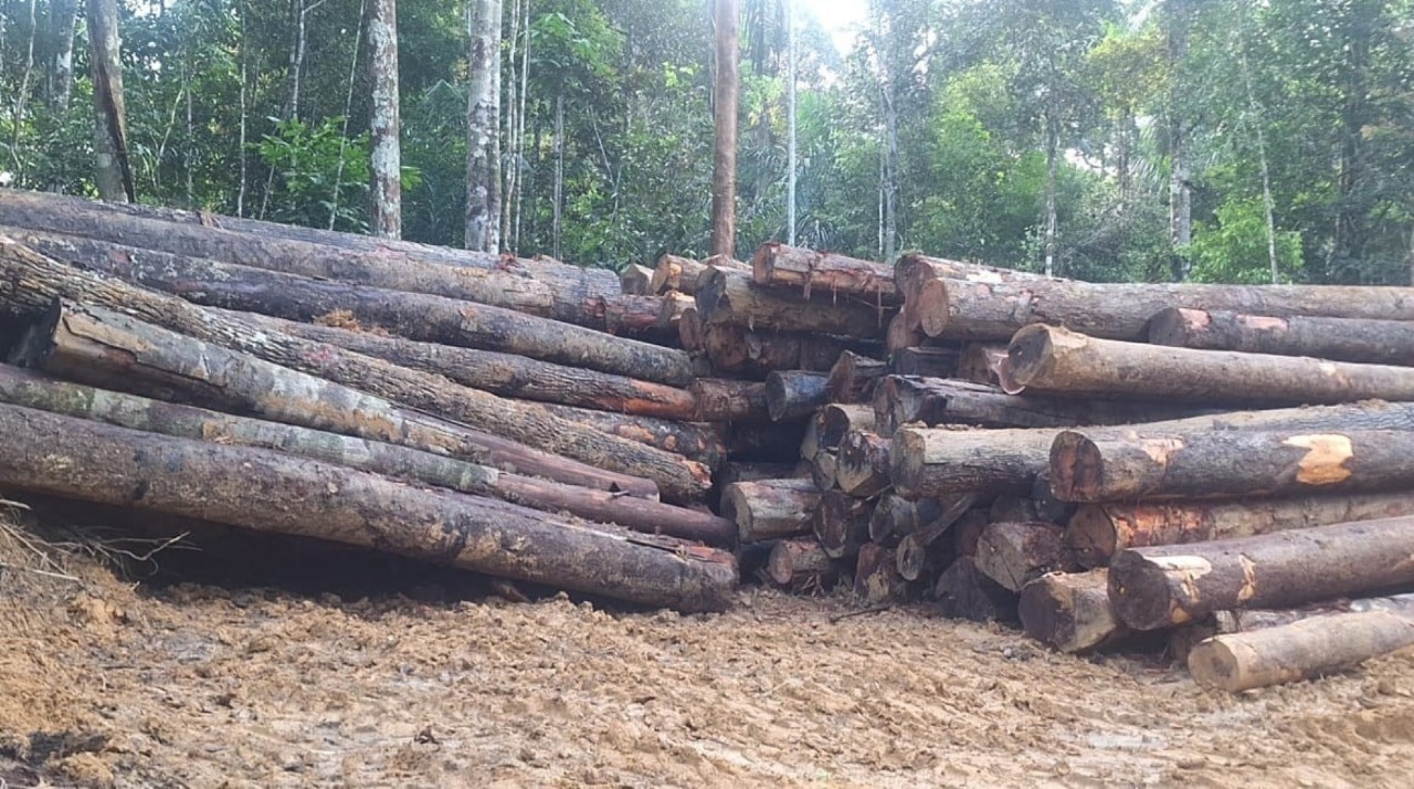 Empresário é multado em R$ 441 mil por dragar leito de igarapé para construir balneário no AM