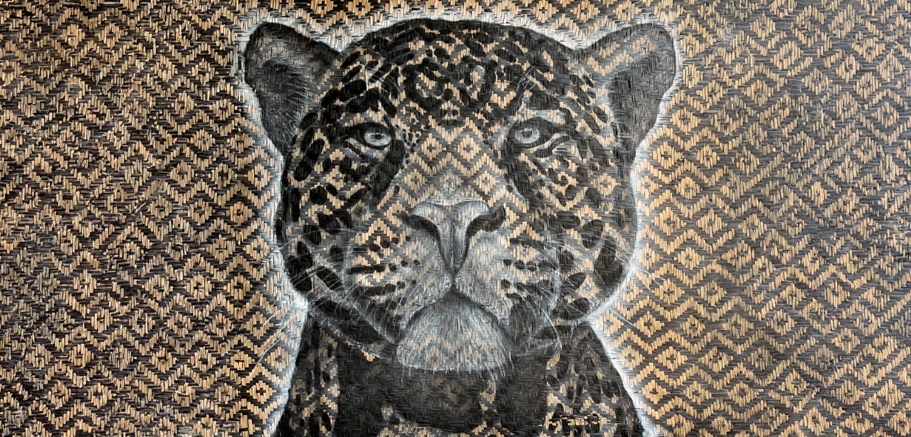 Universidade sedia exposição que mistura grafite e cultura amazônica