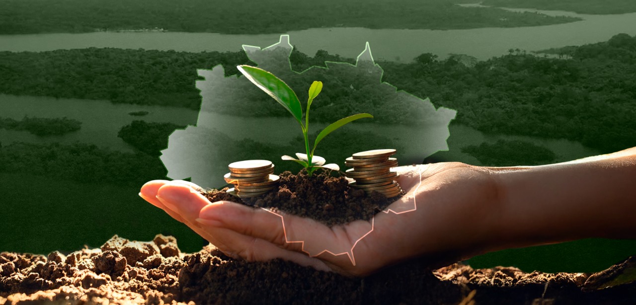 Amazônia Legal recebe R$ 1,1 bilhão para impulsionar projetos sustentáveis