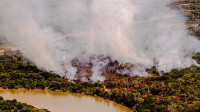 Amazon and Cerrado account for 86% of burned areas over four decades