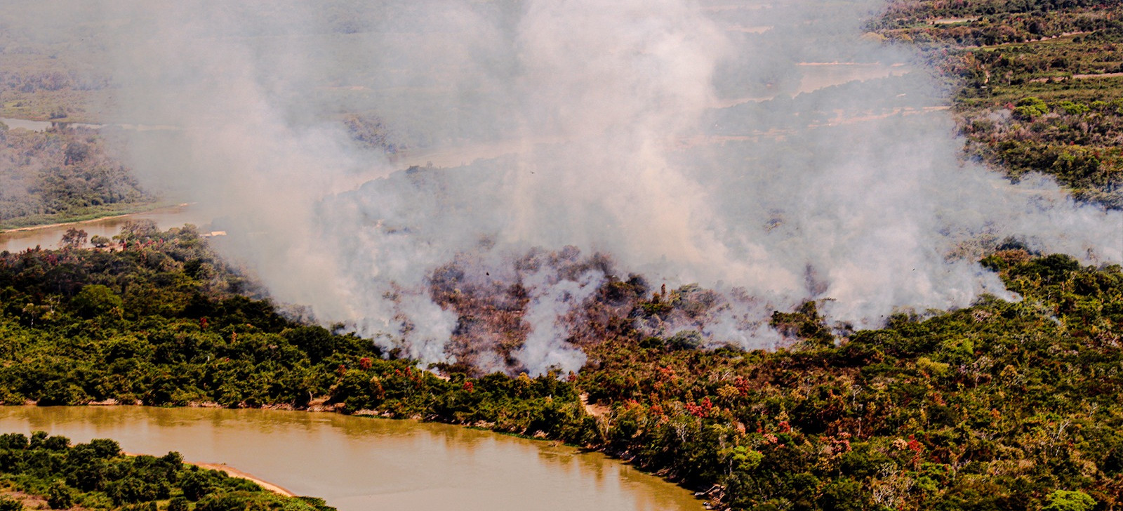 Amazon and Cerrado account for 86% of burned areas over four decades