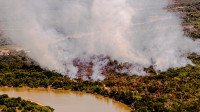 Amazônia e Cerrado têm 86% de áreas queimadas em quatro décadas