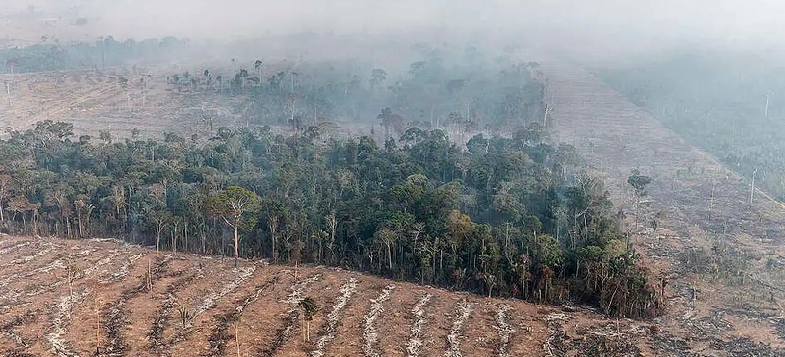 Arquivamento de proposta para combater queimadas vira alvo do MP em Rondônia