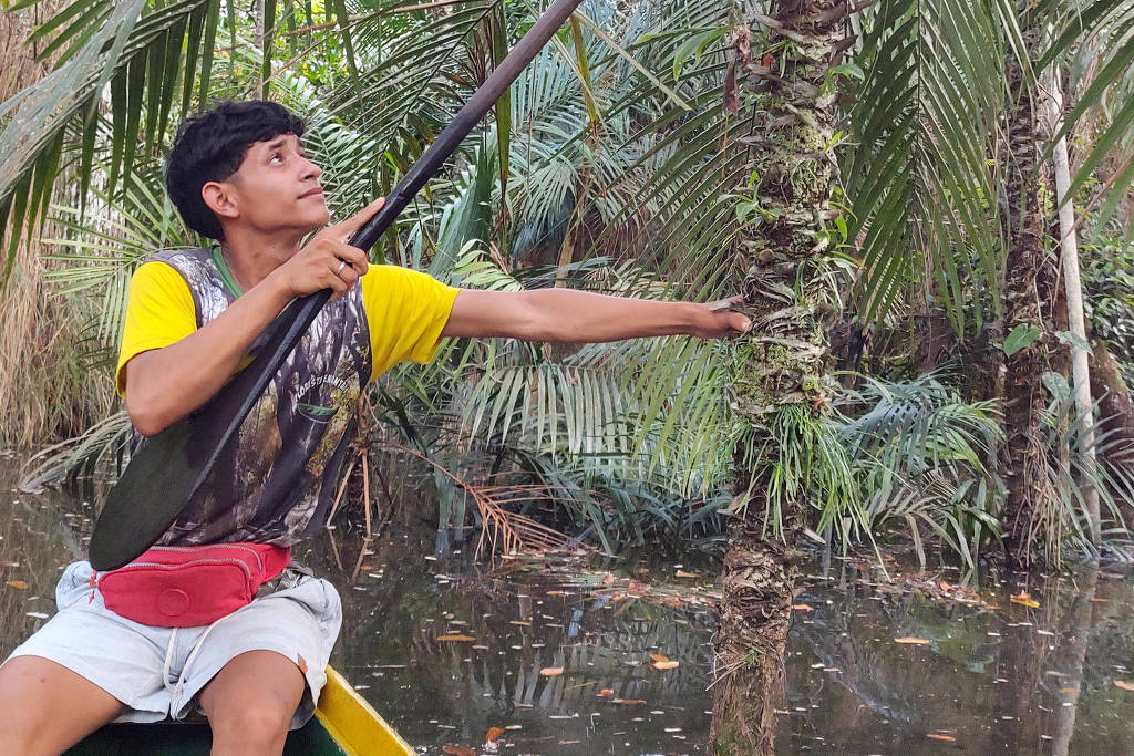 Alter do Chão capacita povos tradicionais para turismo sustentável na COP30